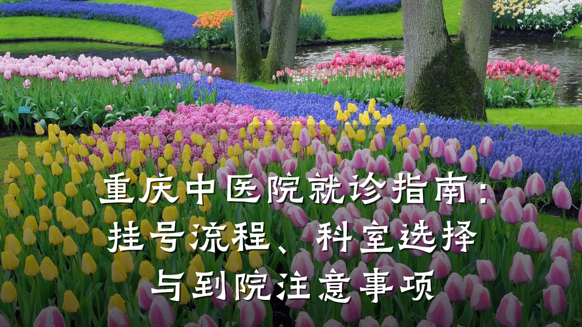 重庆中医院就诊指南:挂号流程、科室选择与到院注意事项