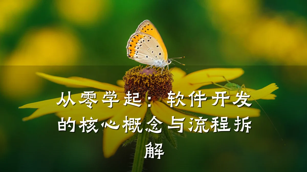 从零学起:软件开发的核心概念与流程拆解