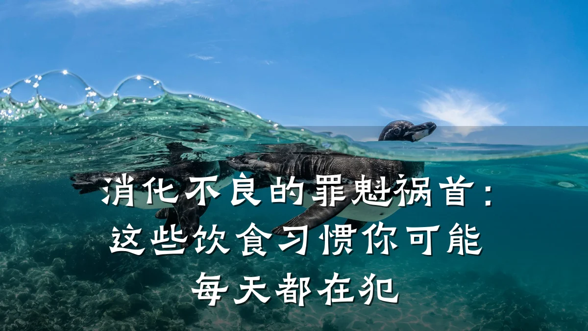 消化不良的罪魁祸首：这些饮食习惯你可能每天都在犯