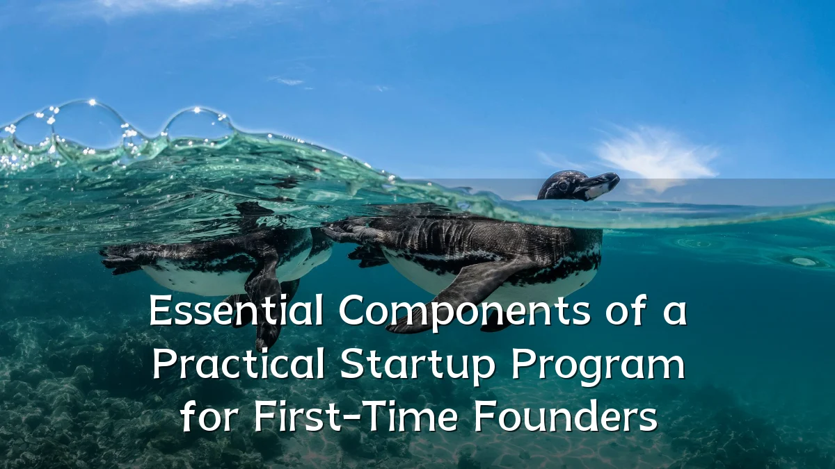 Essential Components of a Practical Startup Program for First-Time Founders