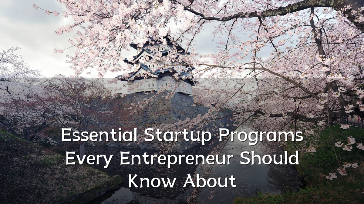 Essential Startup Programs Every Entrepreneur Should Know About
