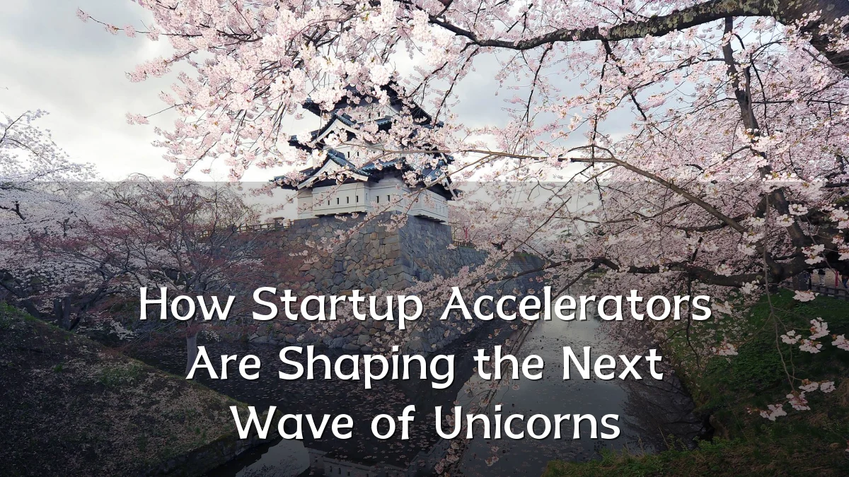 How Startup Accelerators Are Shaping the Next Wave of Unicorns