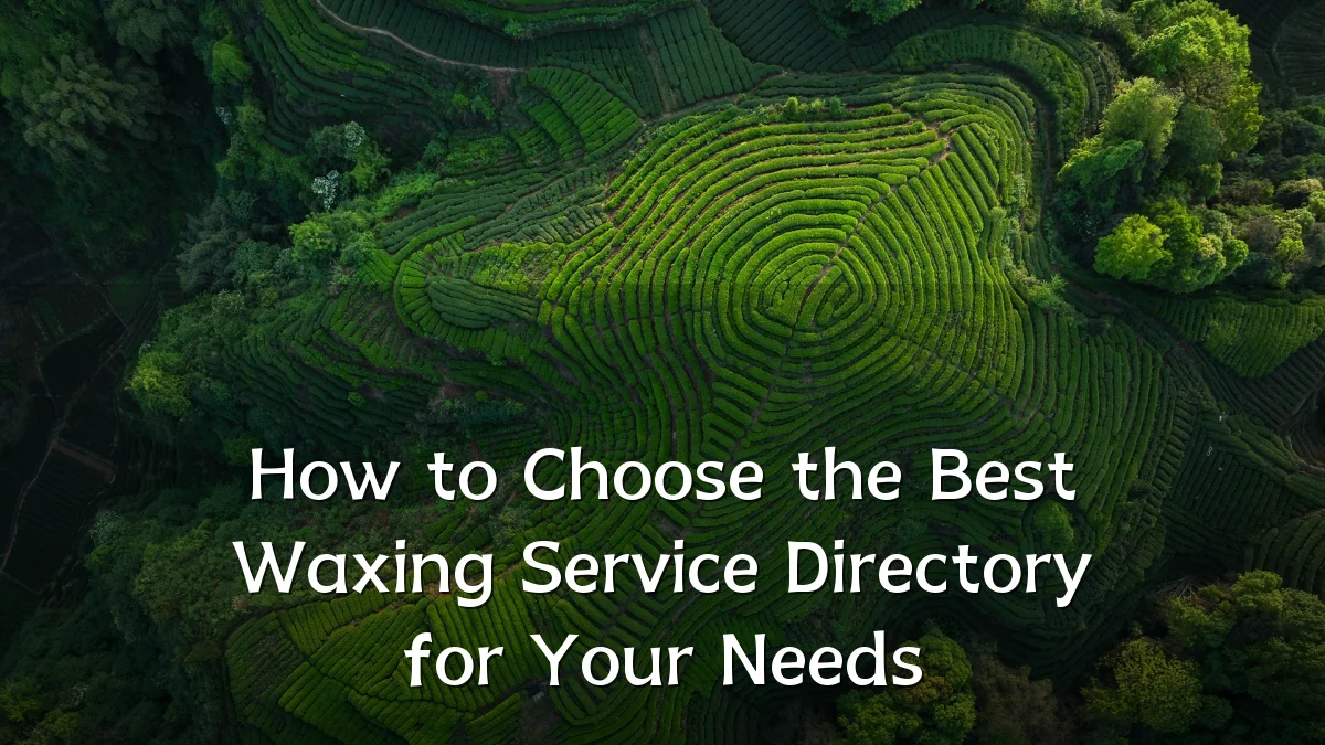 How to Choose the Best Waxing Service Directory for Your Needs