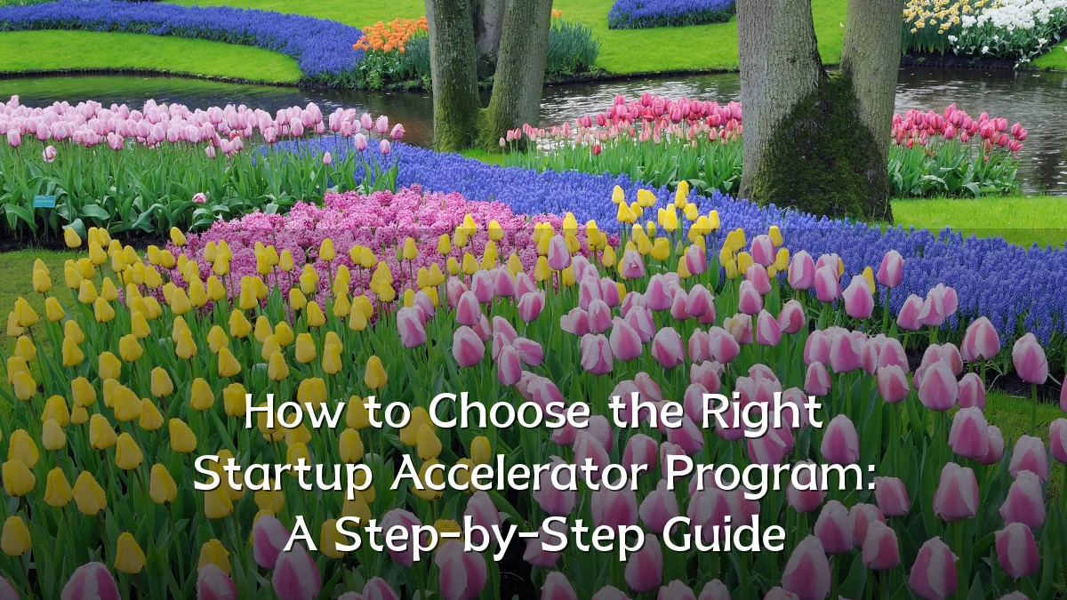 How to Choose the Right Startup Accelerator Program: A Step-by-Step Guide