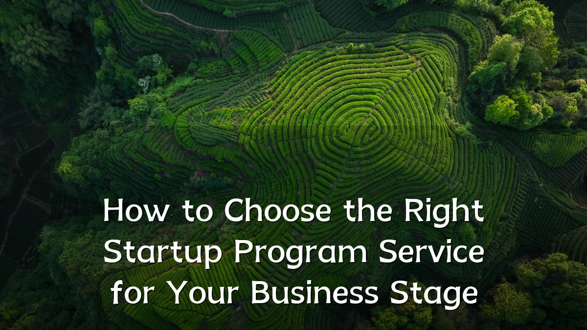 How to Choose the Right Startup Program Service for Your Business Stage