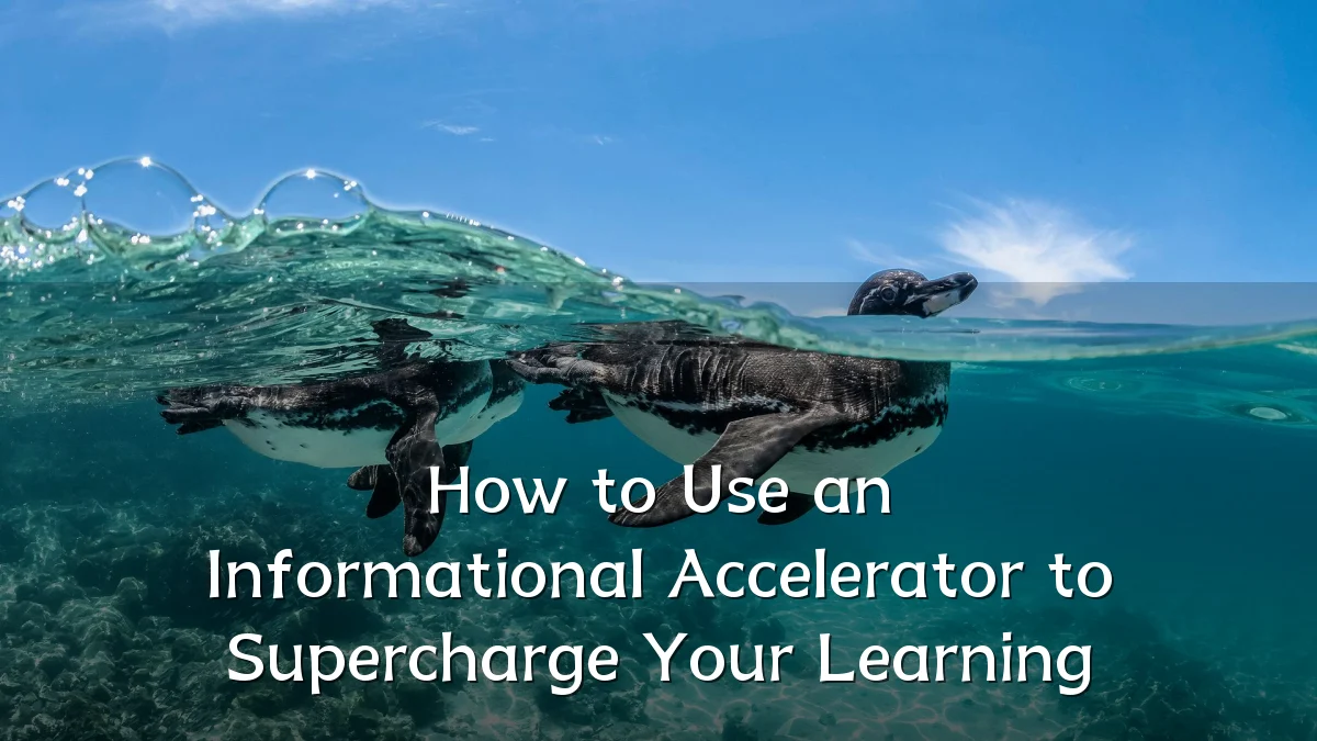 How to Use an Informational Accelerator to Supercharge Your Learning