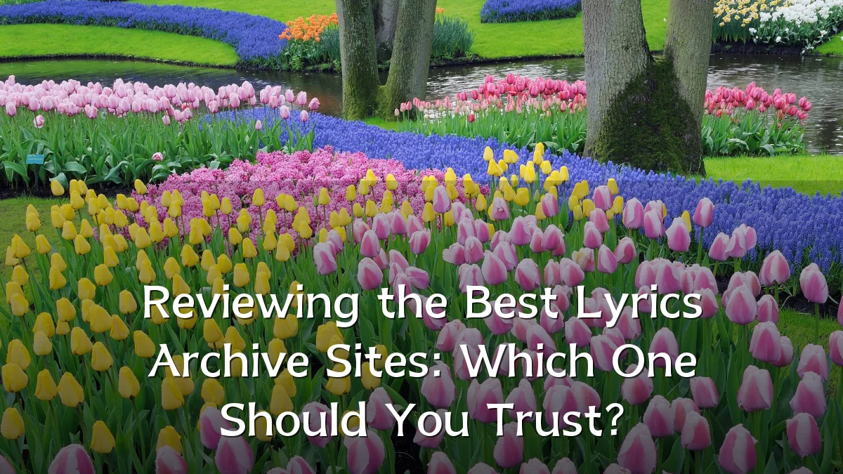 Reviewing the Best Lyrics Archive Sites: Which One Should You Trust?