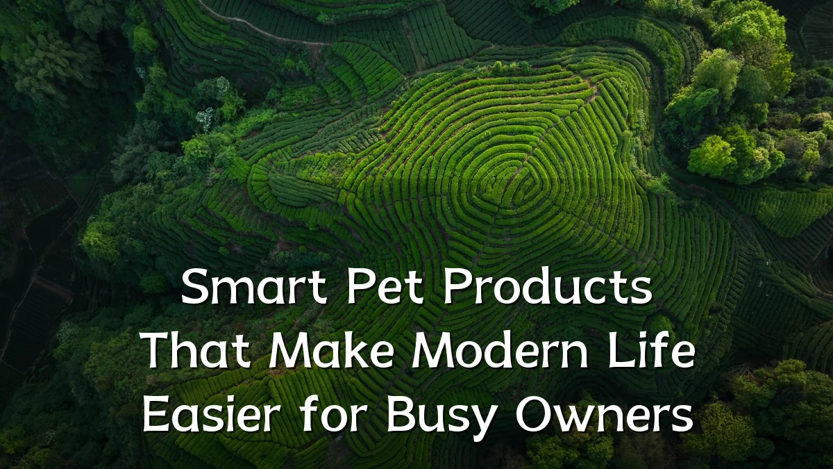 Smart Pet Products That Make Modern Life Easier for Busy Owners
