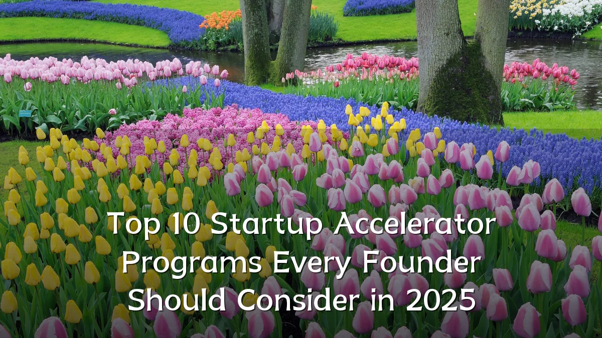 Top 10 Startup Accelerator Programs Every Founder Should Consider in 2025