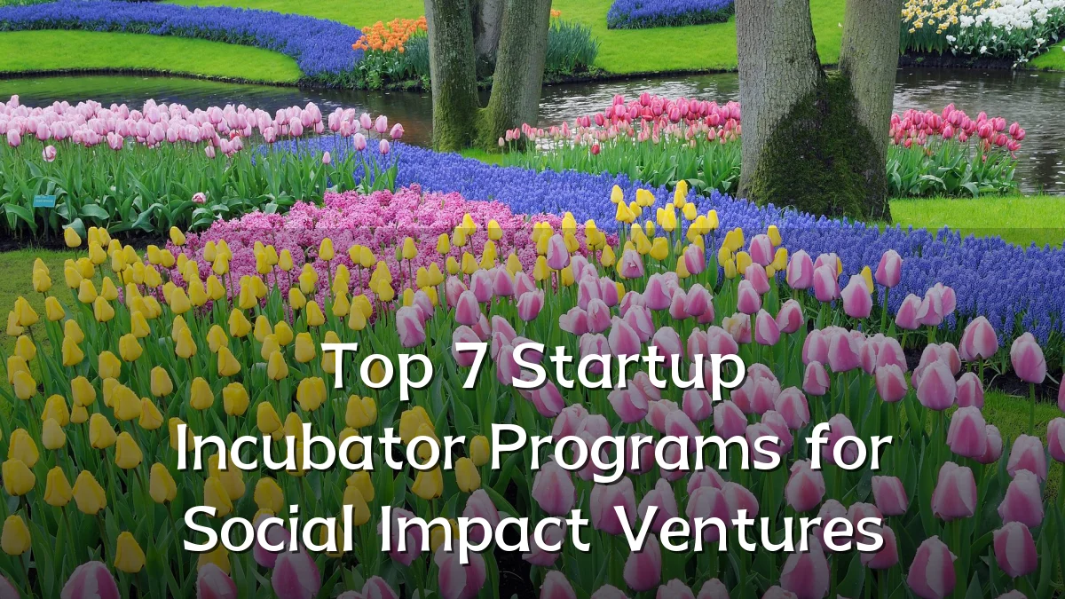 Top 7 Startup Incubator Programs for Social Impact Ventures