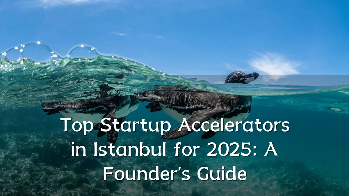 Top Startup Accelerators in Istanbul for 2025: A Founder's Guide