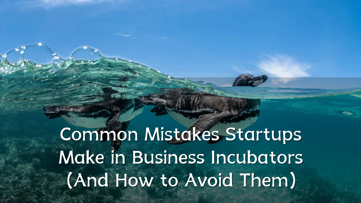 Common Mistakes Startups Make in Business Incubators (And How to Avoid Them)