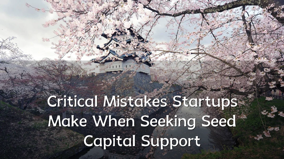 Critical Mistakes Startups Make When Seeking Seed Capital Support