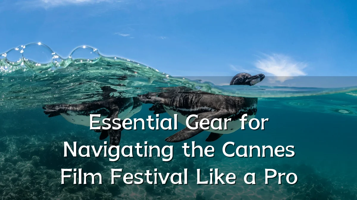Essential Gear for Navigating the Cannes Film Festival Like a Pro