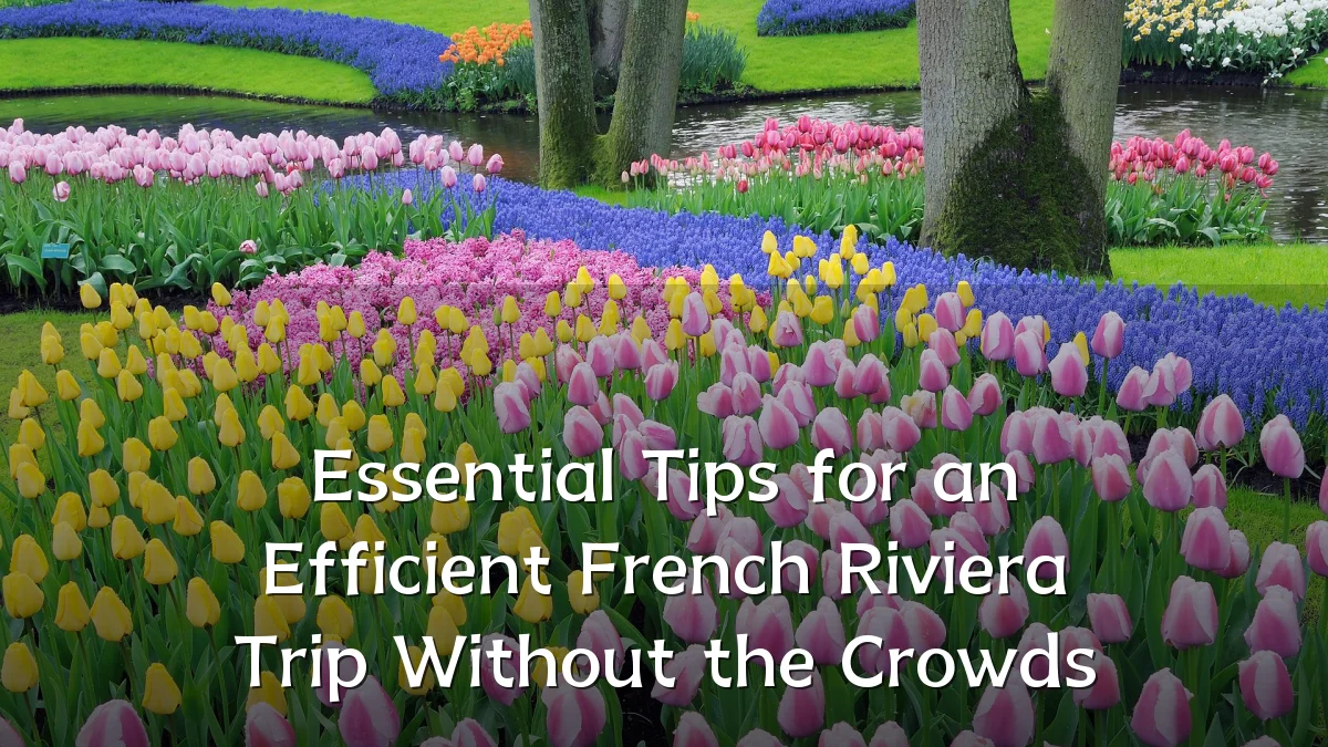Essential Tips for an Efficient French Riviera Trip Without the Crowds
