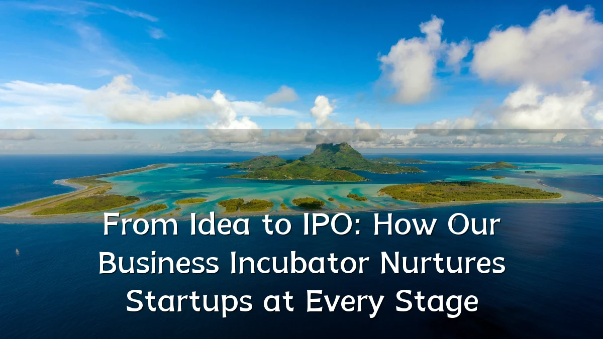 From Idea to IPO: How Our Business Incubator Nurtures Startups at Every Stage