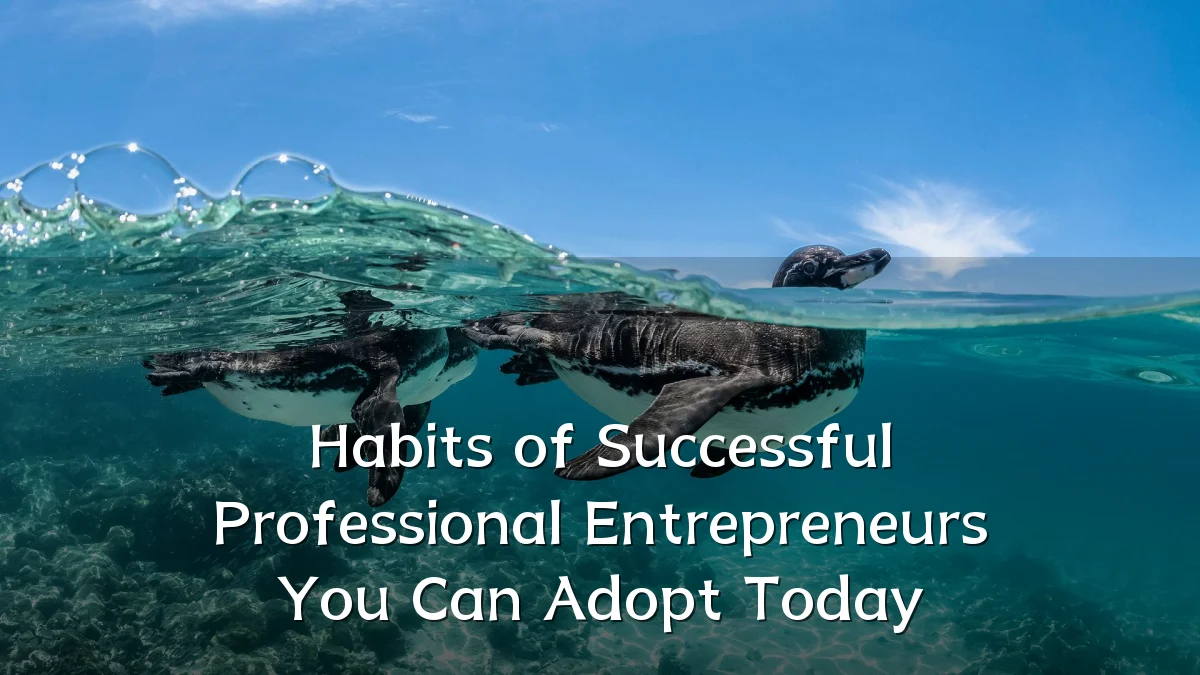 Habits of Successful Professional Entrepreneurs You Can Adopt Today