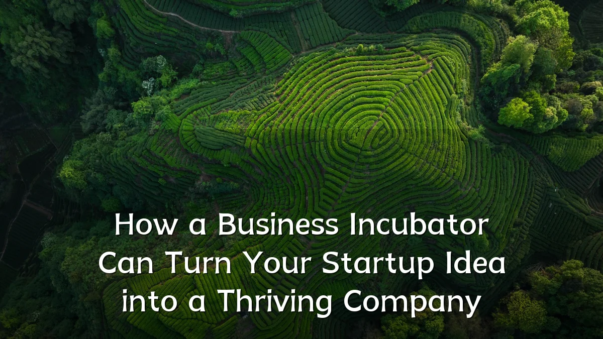 How a Business Incubator Can Turn Your Startup Idea into a Thriving Company