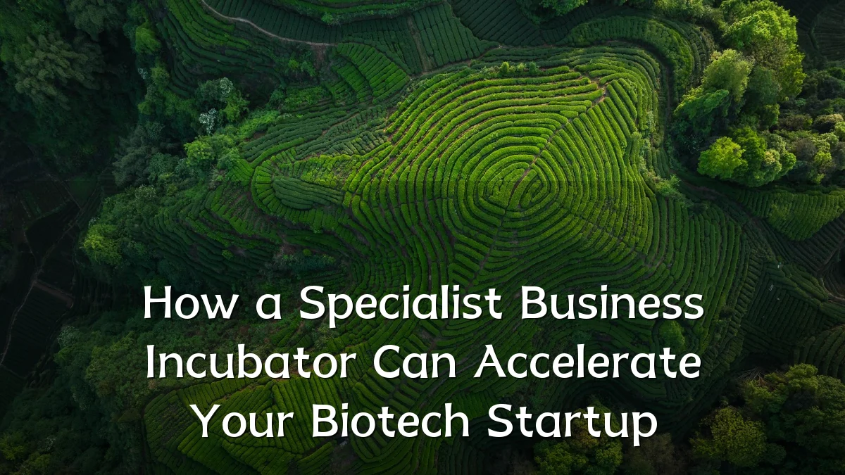 How a Specialist Business Incubator Can Accelerate Your Biotech Startup