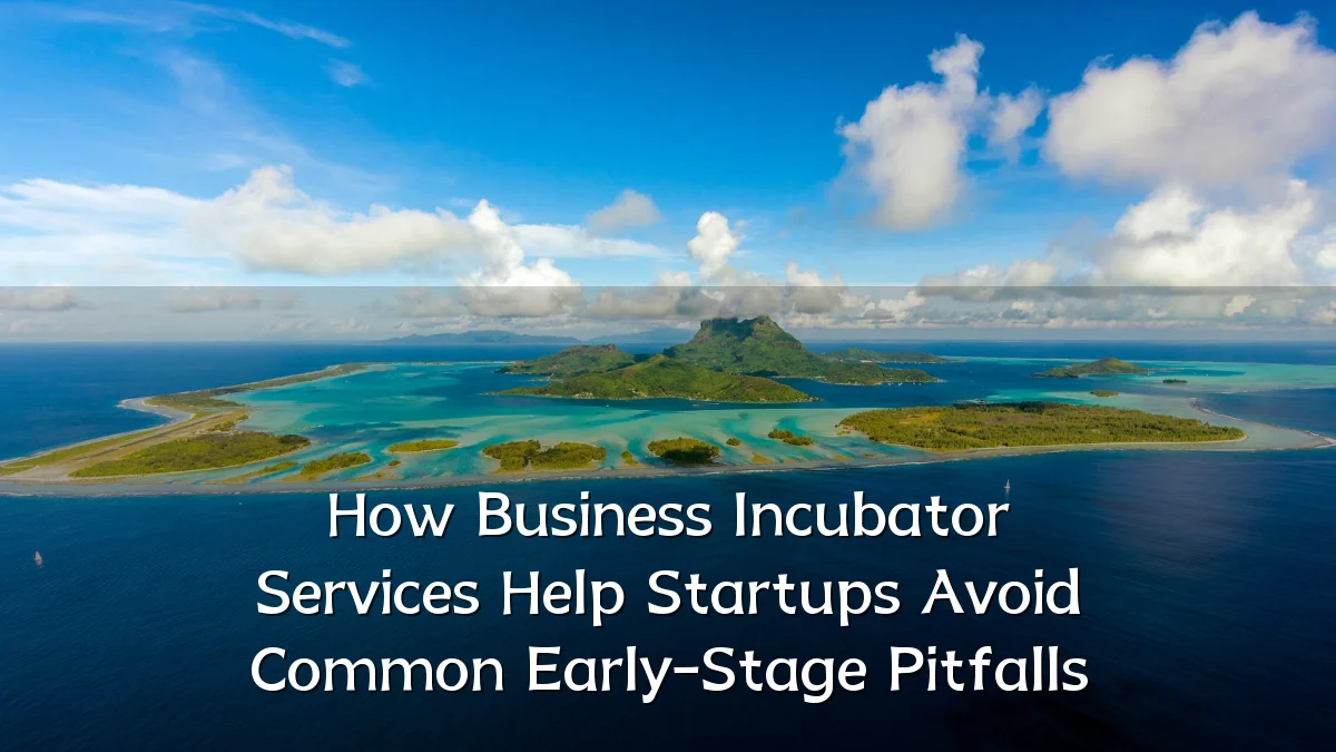 How Business Incubator Services Help Startups Avoid Common Early-Stage Pitfalls