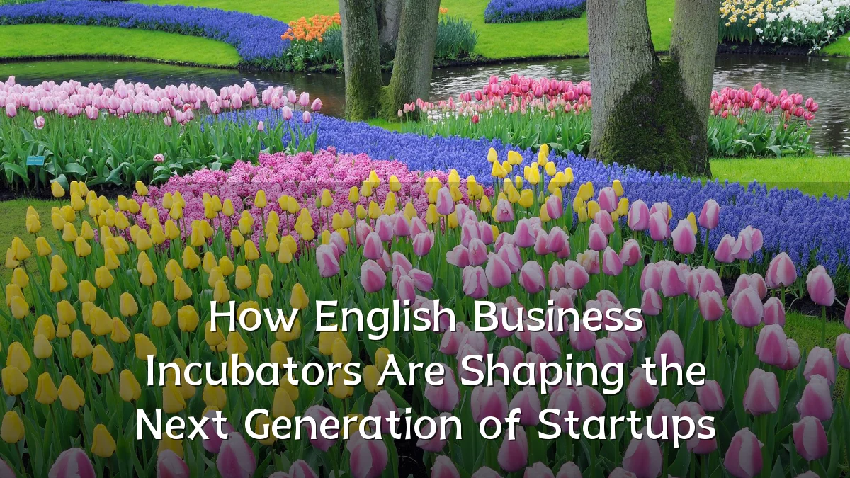 How English Business Incubators Are Shaping the Next Generation of Startups