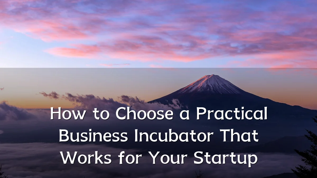 How to Choose a Practical Business Incubator That Works for Your Startup