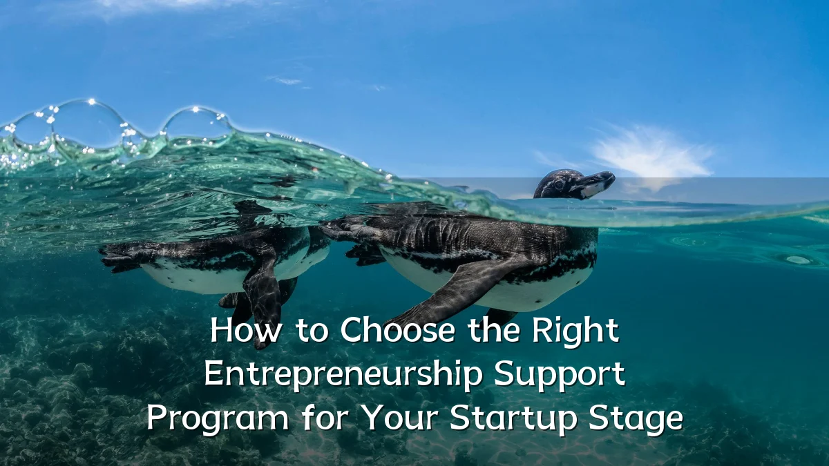 How to Choose the Right Entrepreneurship Support Program for Your Startup Stage
