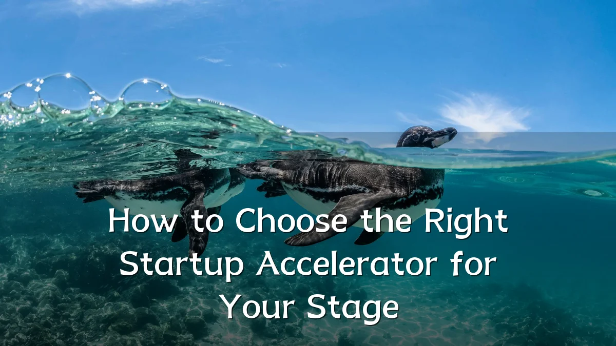 How to Choose the Right Startup Accelerator for Your Stage