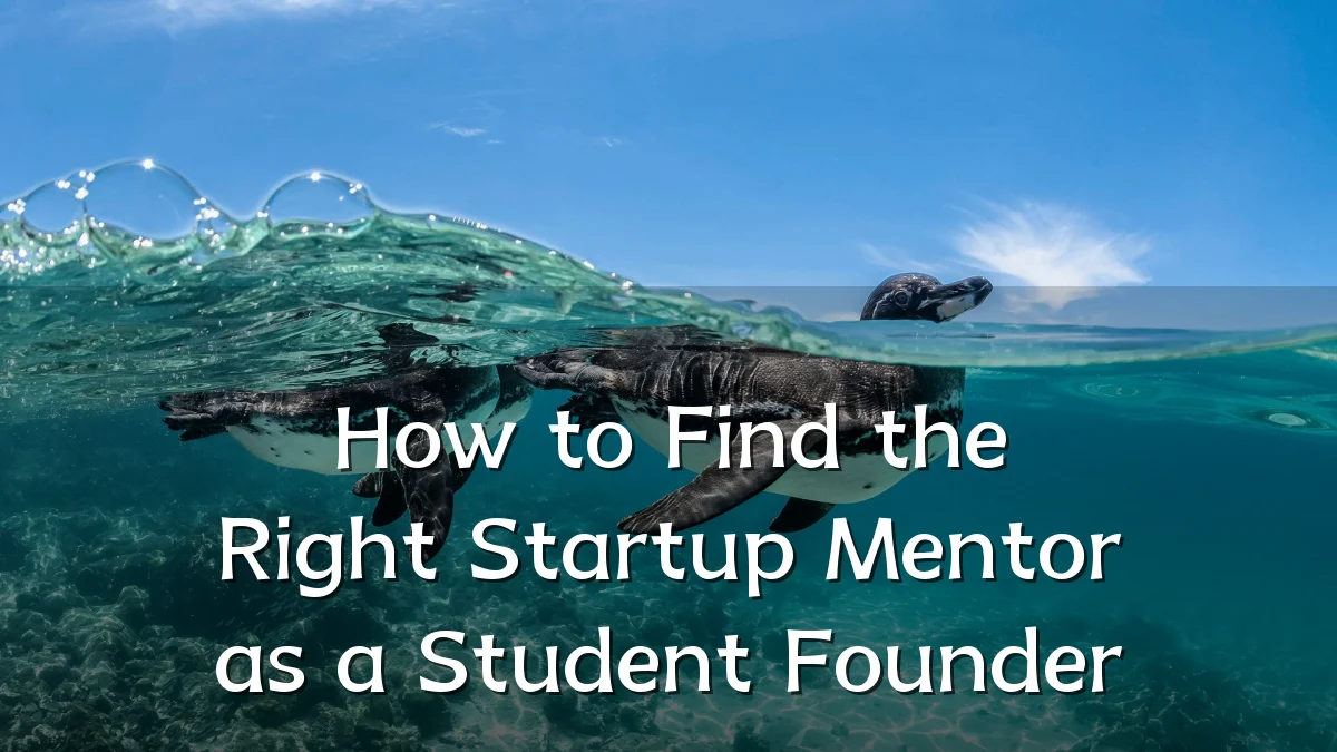 How to Find the Right Startup Mentor as a Student Founder
