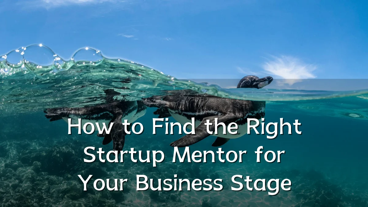 How to Find the Right Startup Mentor for Your Business Stage