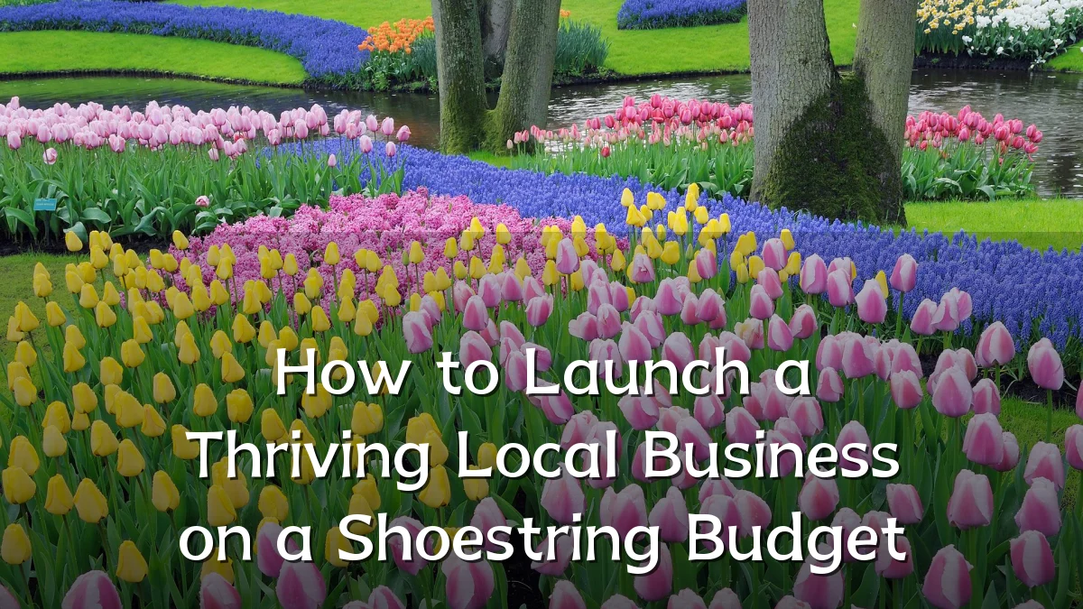 How to Launch a Thriving Local Business on a Shoestring Budget