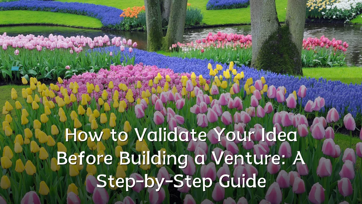 How to Validate Your Idea Before Building a Venture: A Step-by-Step Guide