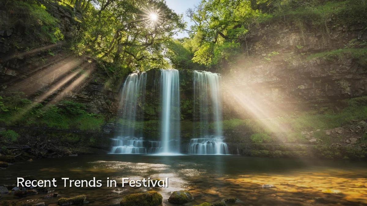 Recent Trends in Festival