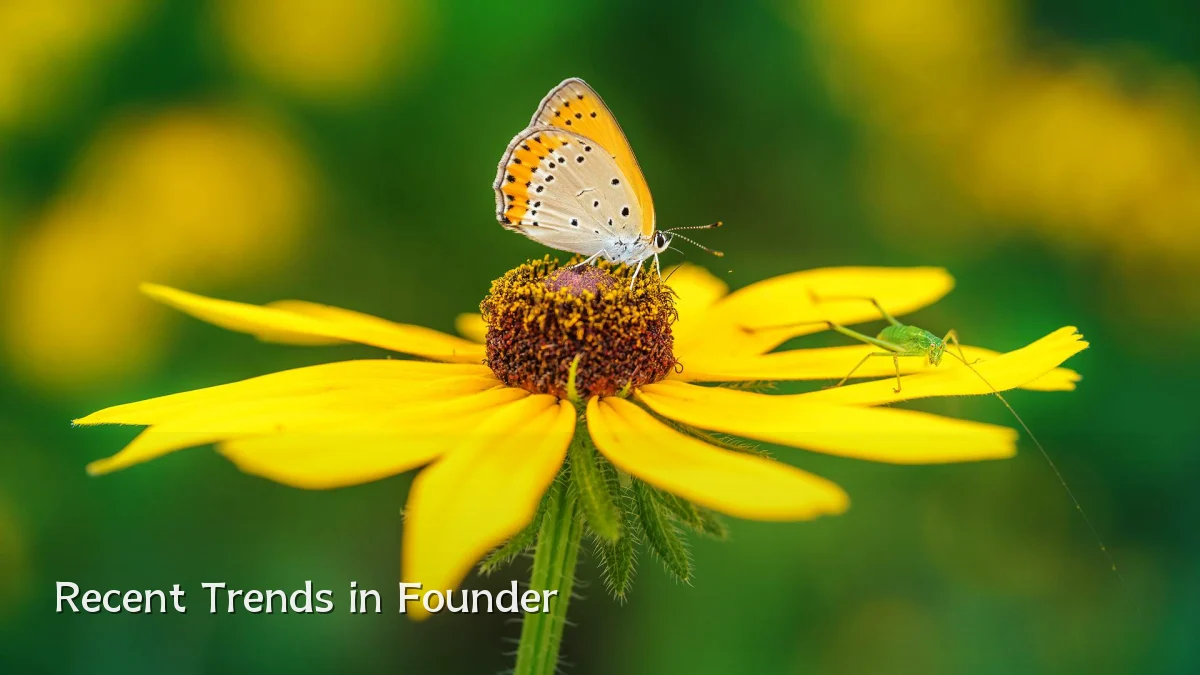 Recent Trends in Founder