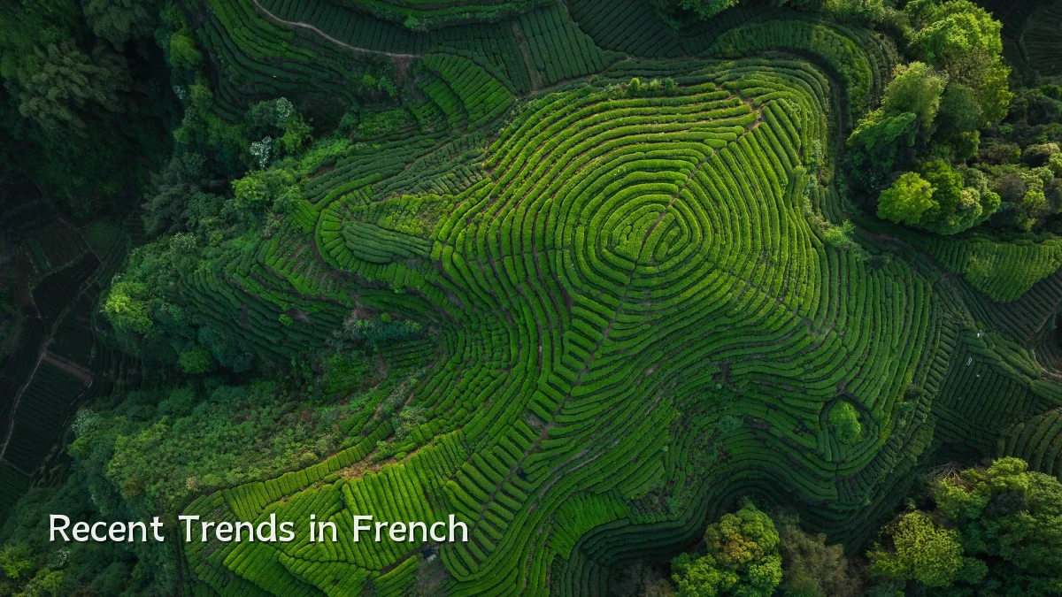 Recent Trends in French