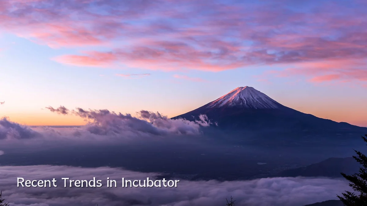 Recent Trends in Incubator
