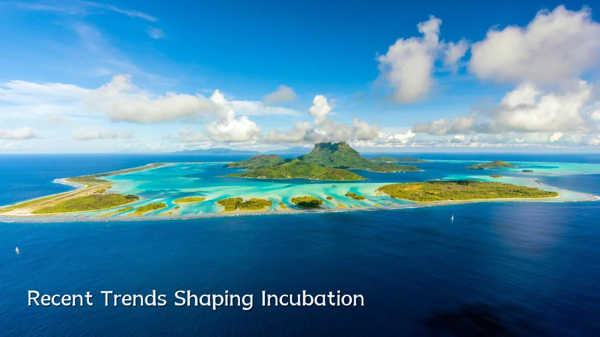 Recent Trends Shaping Incubation
