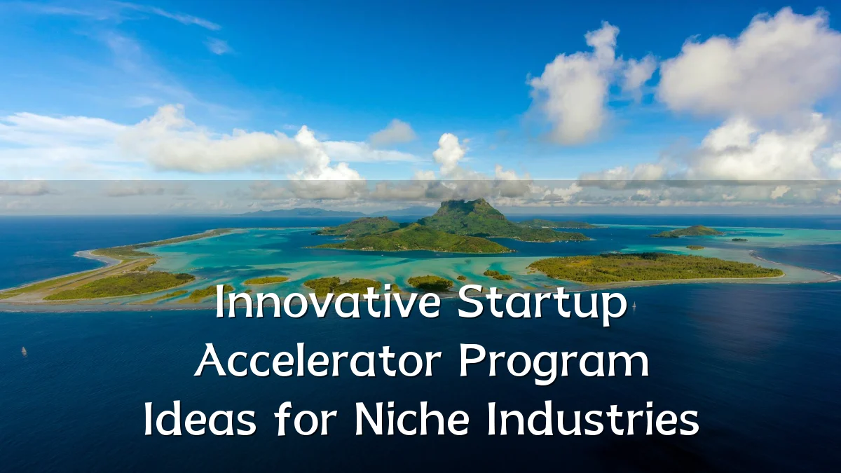 Innovative Startup Accelerator Program Ideas for Niche Industries