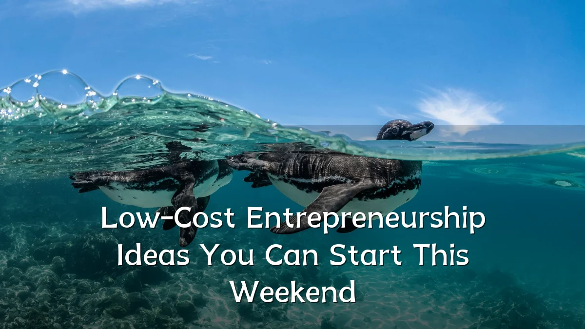 Low-Cost Entrepreneurship Ideas You Can Start This Weekend