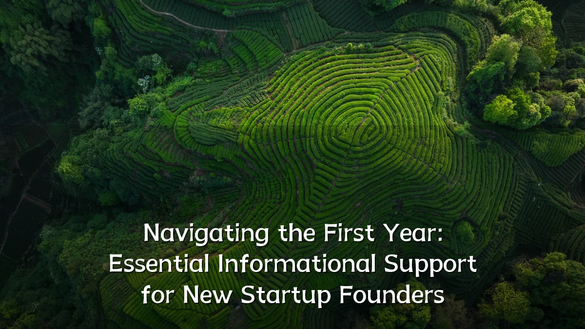 Navigating the First Year: Essential Informational Support for New Startup Founders