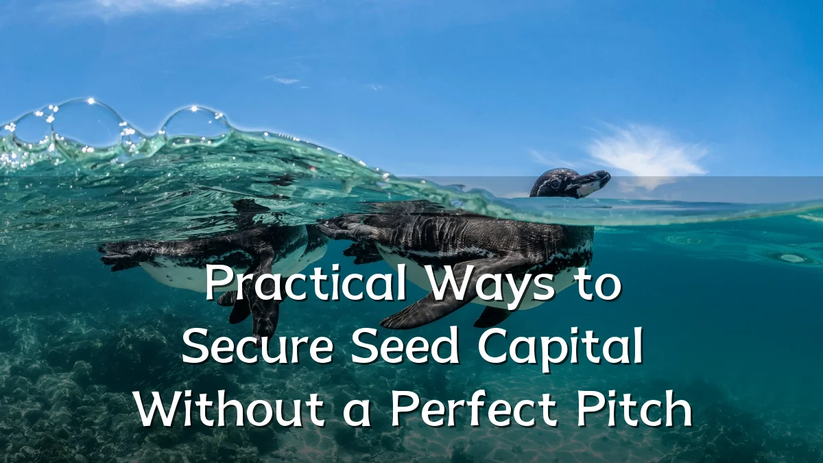 Practical Ways to Secure Seed Capital Without a Perfect Pitch