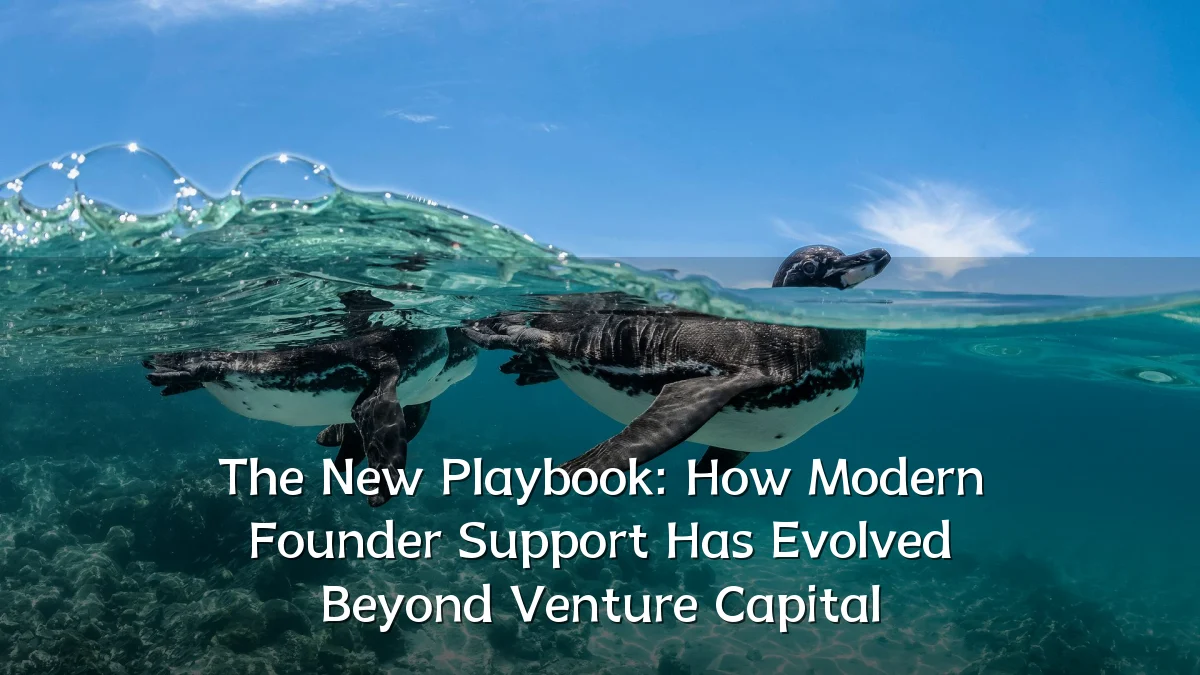 The New Playbook: How Modern Founder Support Has Evolved Beyond Venture Capital