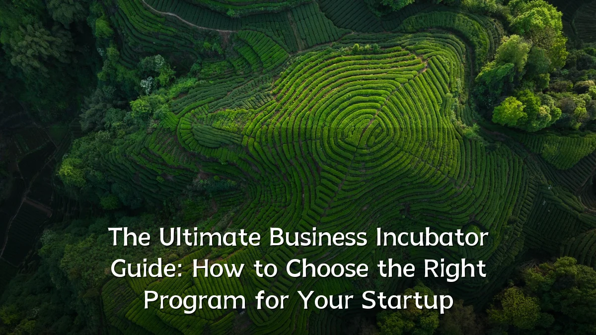 The Ultimate Business Incubator Guide: How to Choose the Right Program for Your Startup