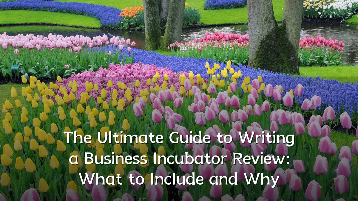 The Ultimate Guide to Writing a Business Incubator Review: What to Include and Why