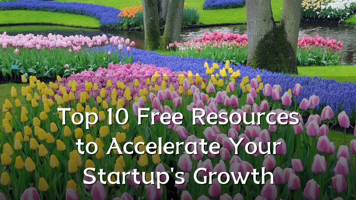 Top 10 Free Resources to Accelerate Your Startup's Growth