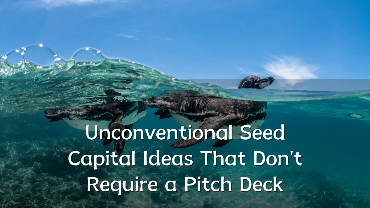 Unconventional Seed Capital Ideas That Don't Require a Pitch Deck