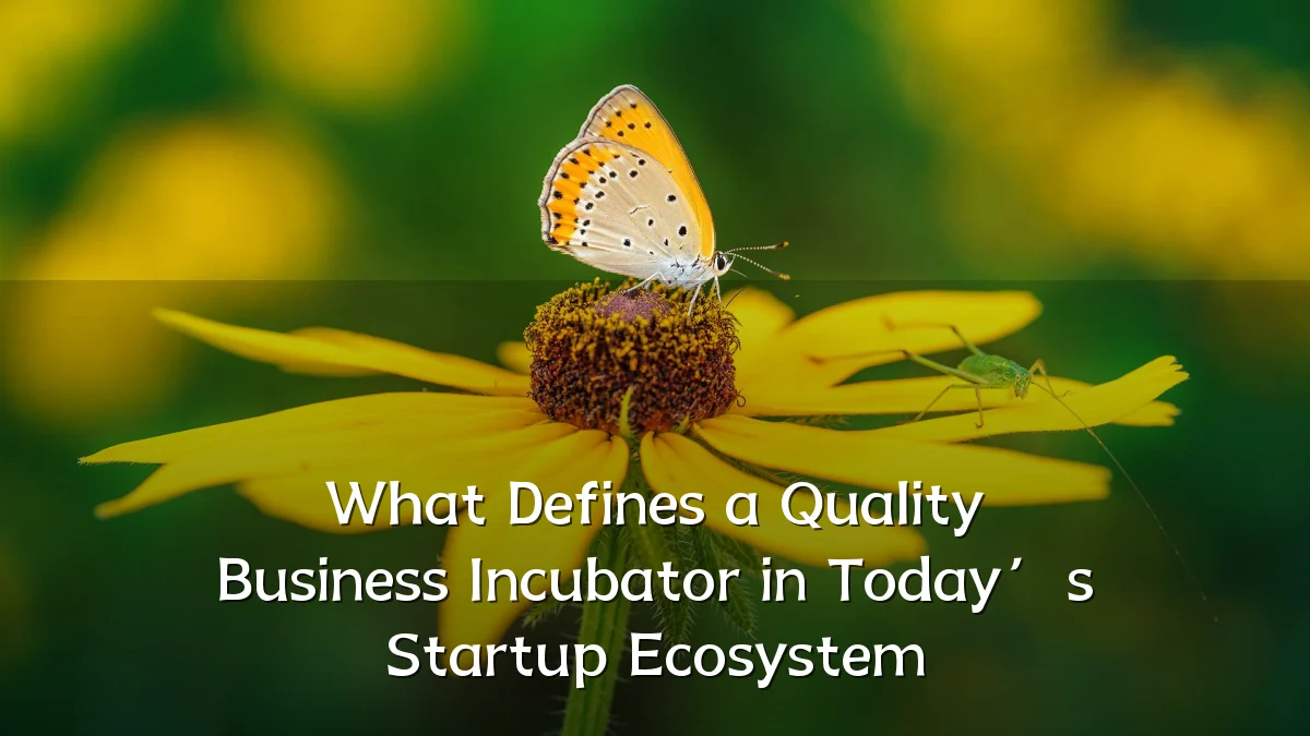 What Defines a Quality Business Incubator in Today’s Startup Ecosystem