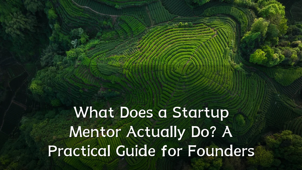 What Does a Startup Mentor Actually Do? A Practical Guide for Founders