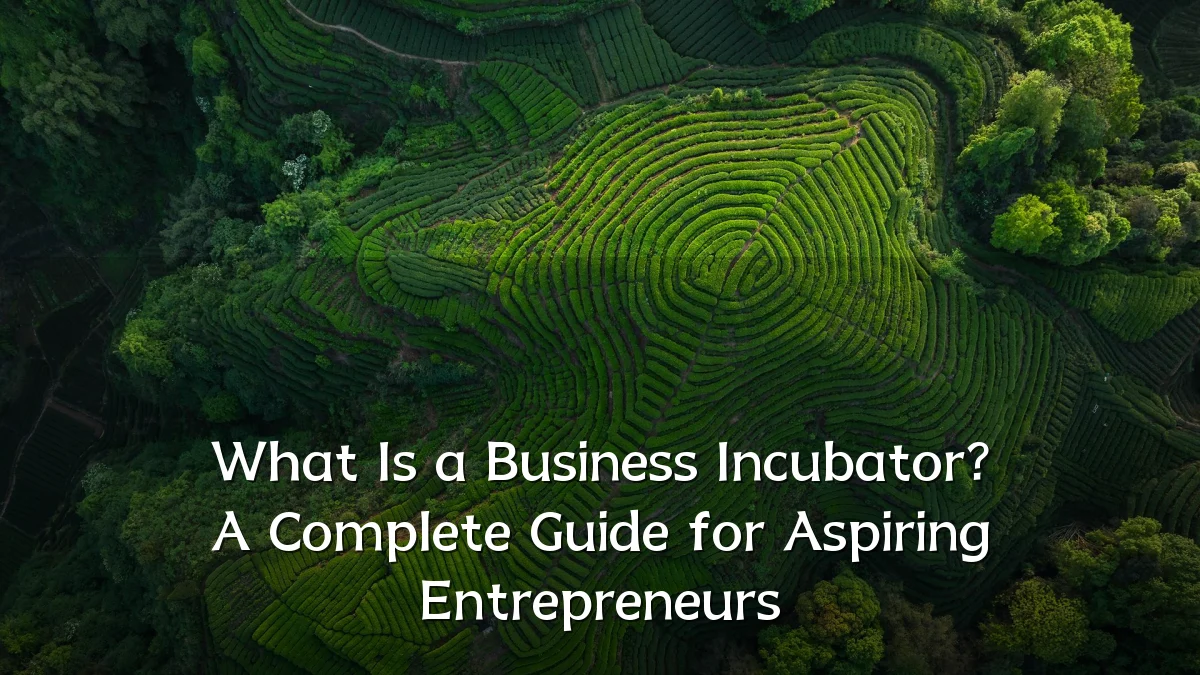 What Is a Business Incubator? A Complete Guide for Aspiring Entrepreneurs