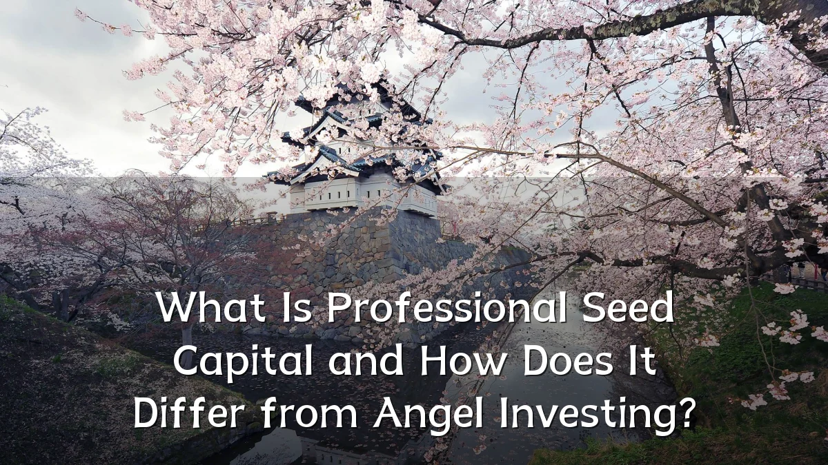 What Is Professional Seed Capital and How Does It Differ from Angel Investing?
